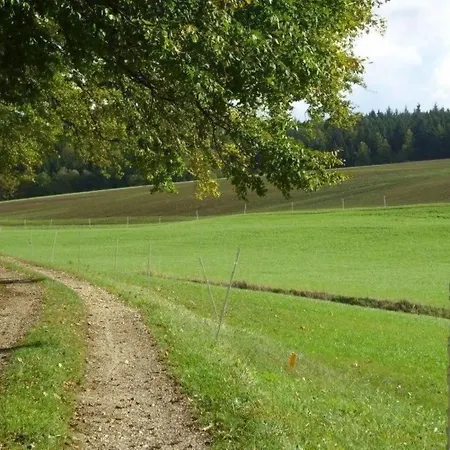 In Oberwaldbach Mit Garten Und Grill By Interhome Lägenhet Günzburg